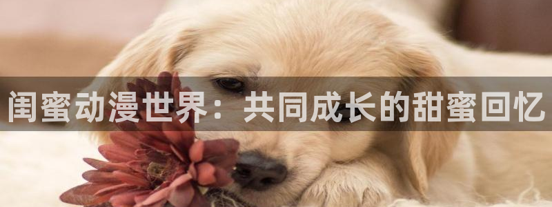 风车漫画免费漫画